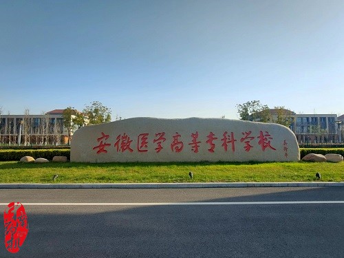 中南藥機(jī)︰安徽醫(yī)學(xué)高等?？茖W(xué)校 “1+X”藥物制劑生產(chǎn)職業(yè)技能設(shè)備安裝調(diào)試